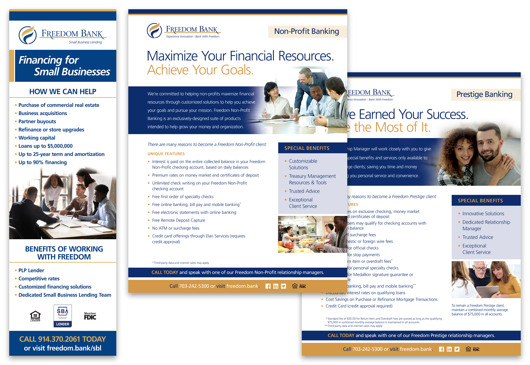 Vizual Integrated Marketing & Branding | Freedom Bank of VA Pop-Up Banner & Sales Sheets